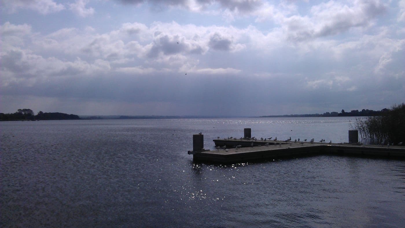 IMAG0727