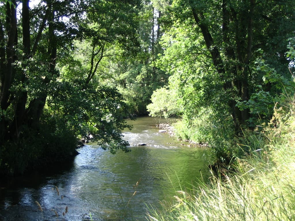 4.1.2.1 Bild1