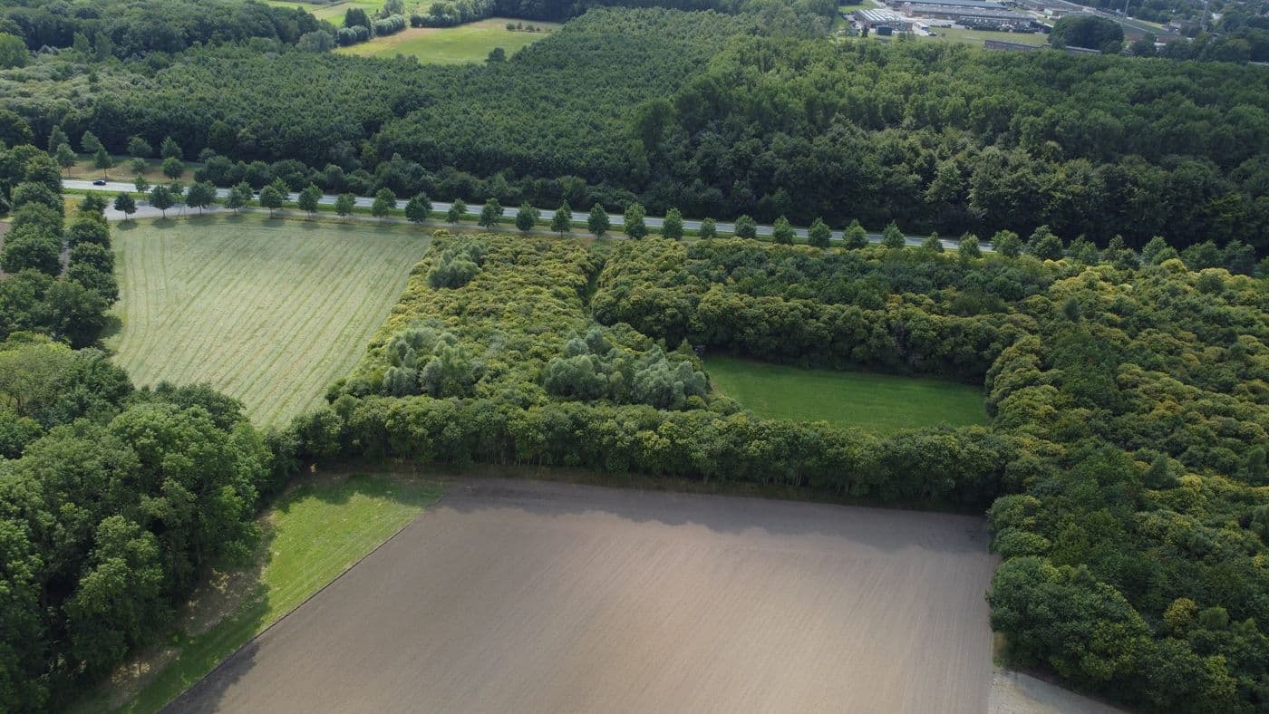 CO2-Speicherung durch landschaftspflegerische Maßnahmen