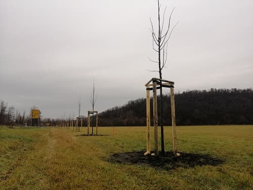 Ausbau der L 181 Großkayna