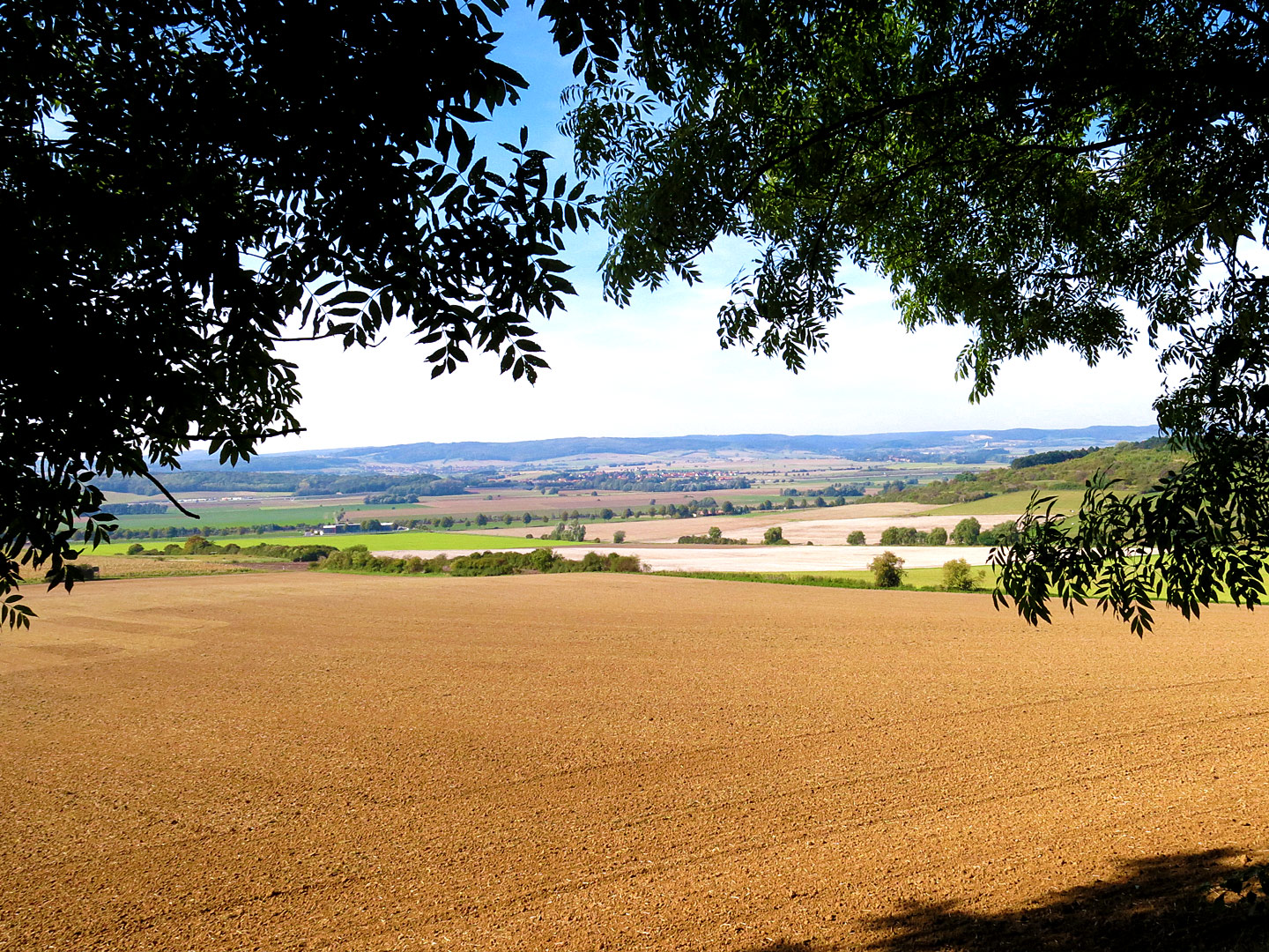 Bauleitplanung und Landschaftsplanung